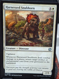 Harnessed Snubhorn
