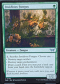 Insidious Fungus