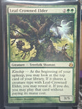 Leaf-Crowned Elder