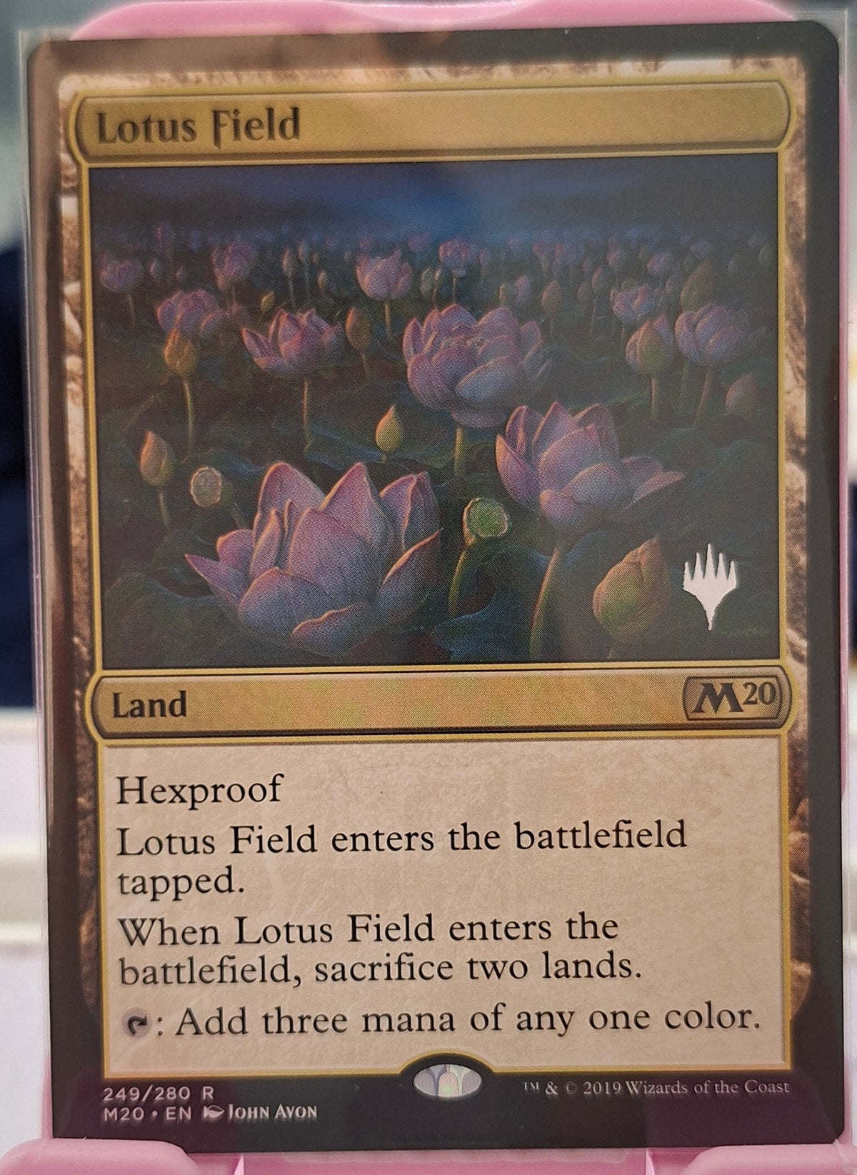Lotus Field