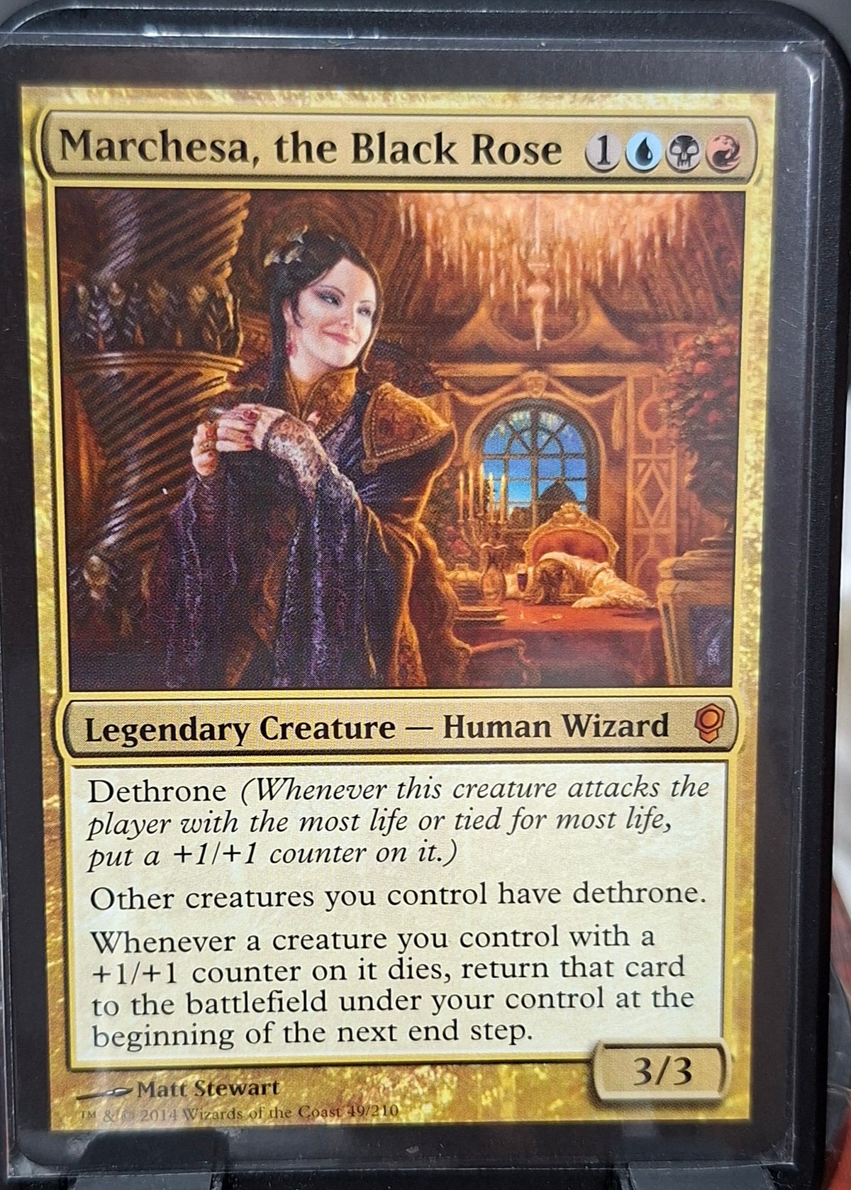 Marchesa, the Black Rose