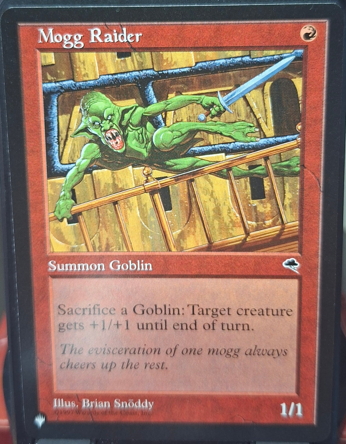 Mogg Raider