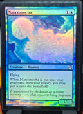 Narcomoeba