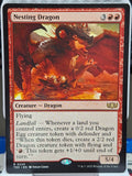 Nesting Dragon