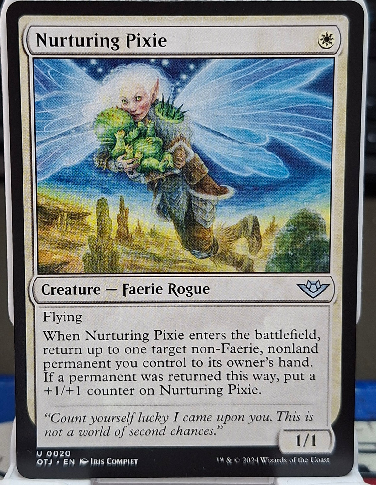Nurturing Pixie