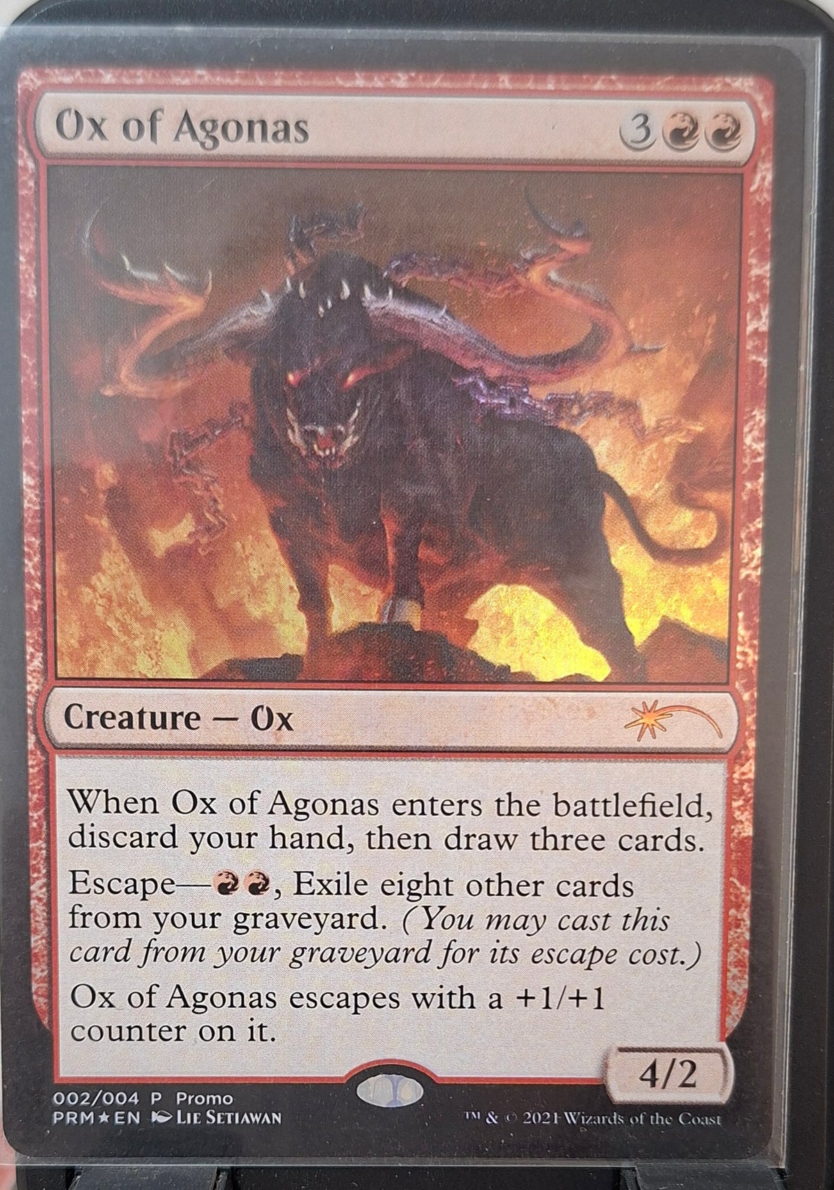 Ox of Agonas