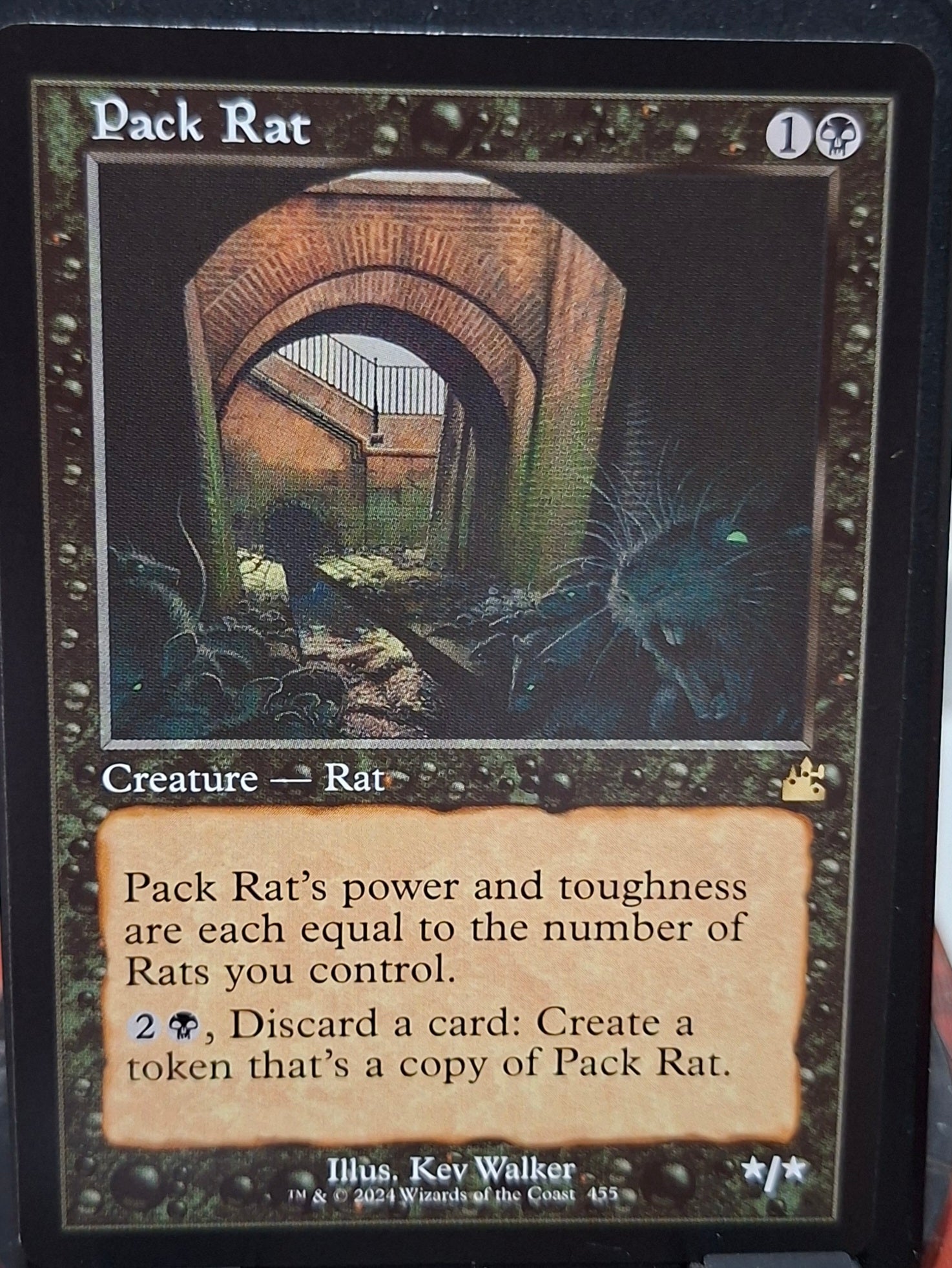 Pack Rat