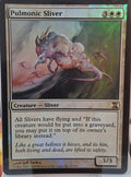 Pulmonic Sliver