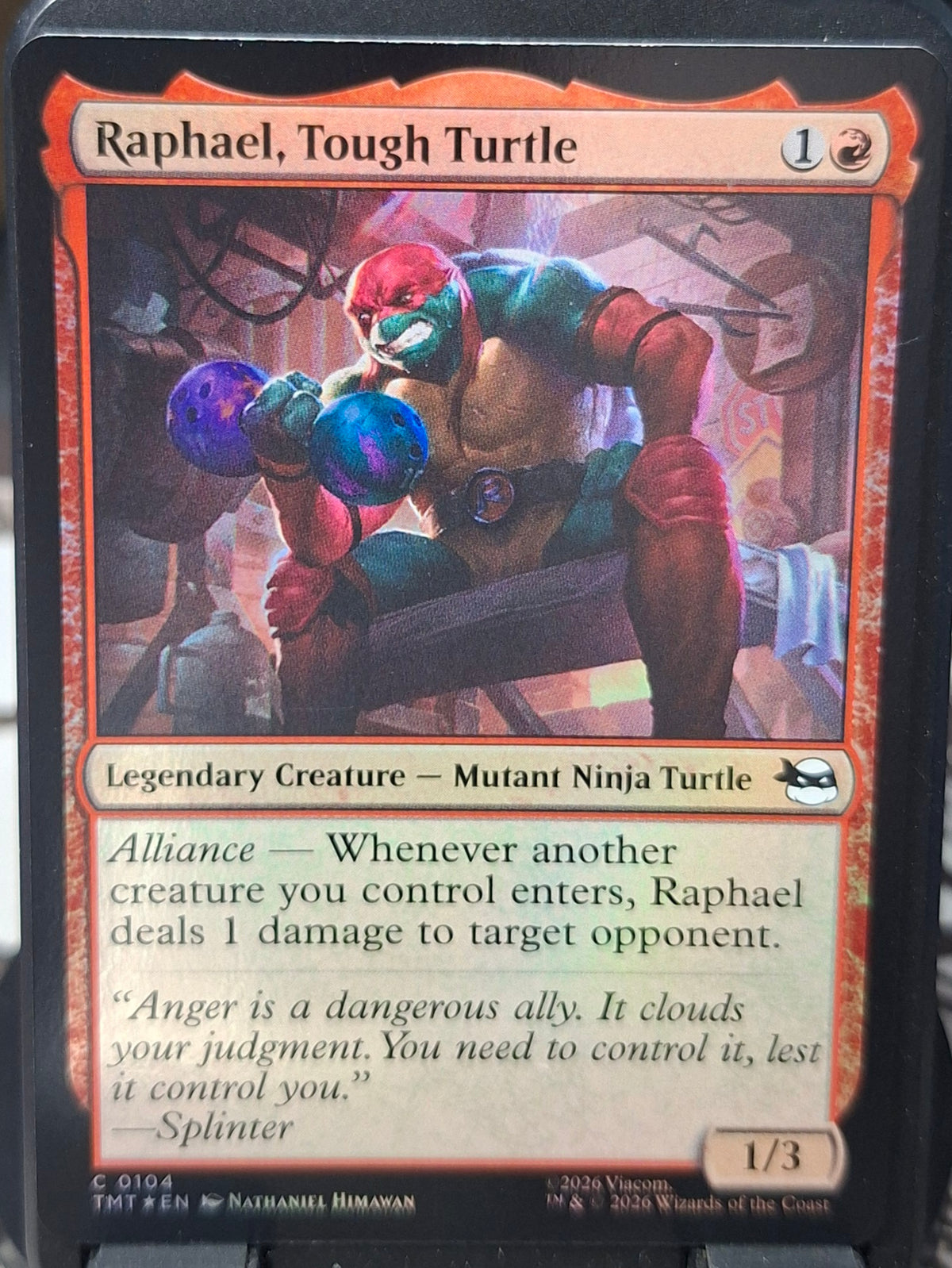 Raphael, Tough Turtle