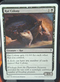 Rat Colony
