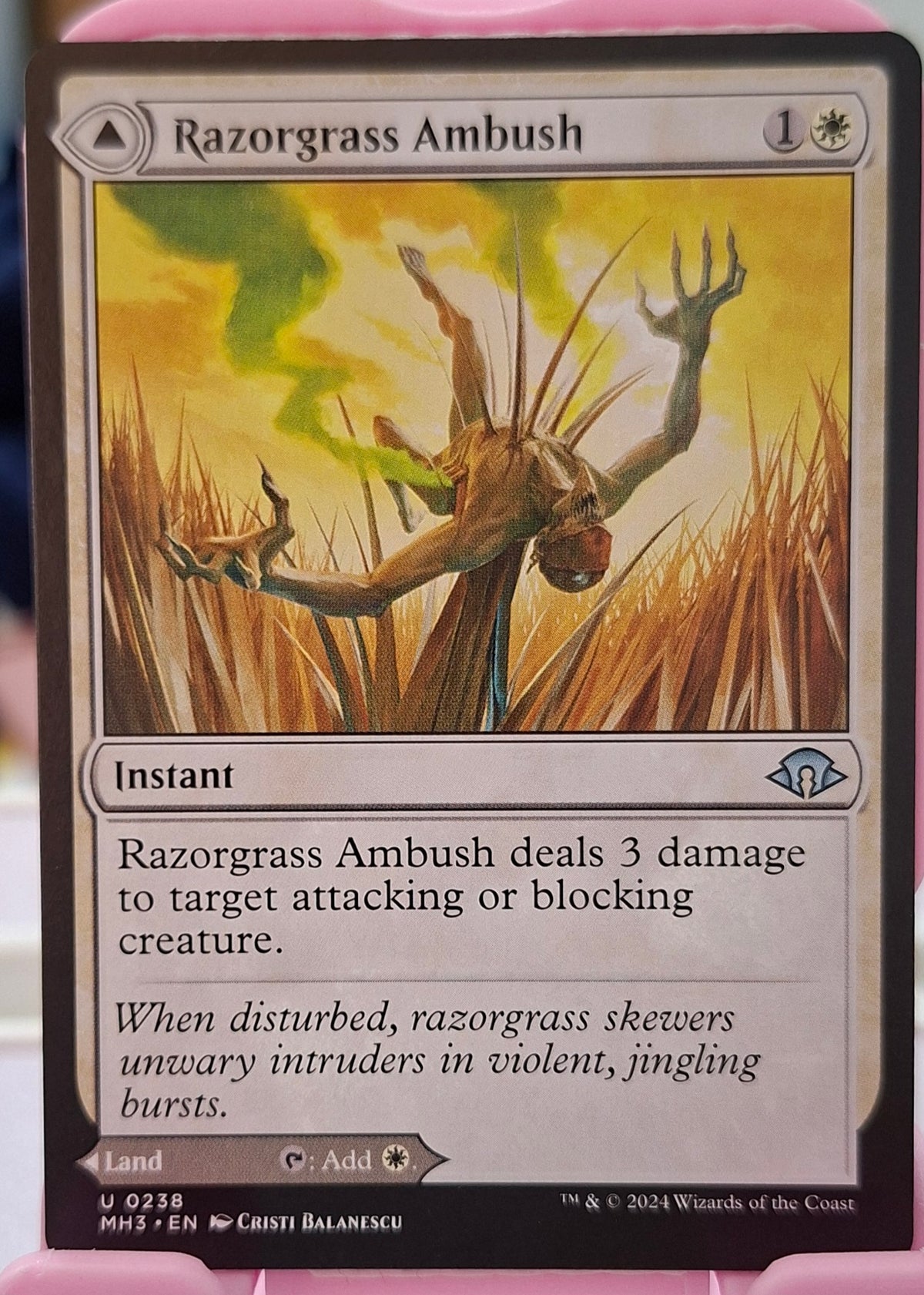 Razorgrass Ambush