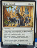 Regal Caracal