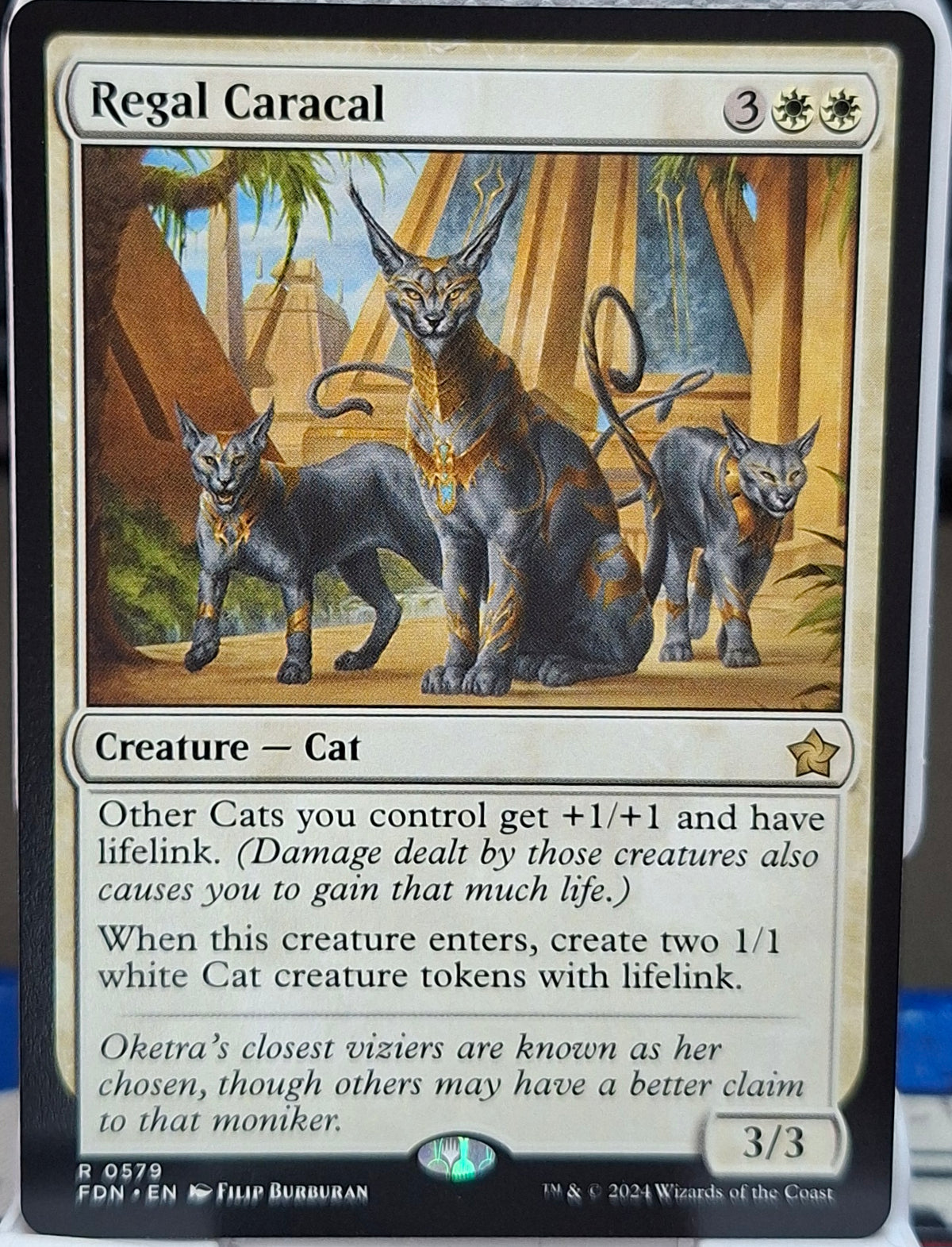 Regal Caracal