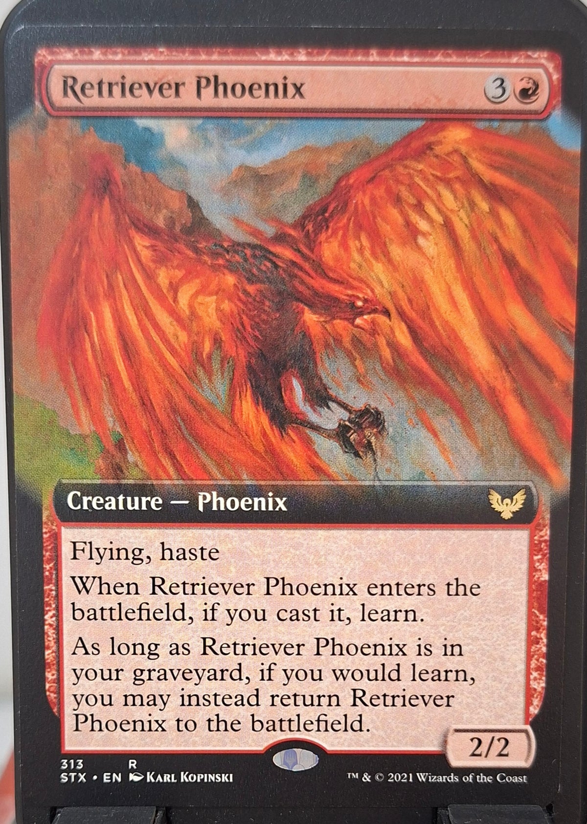 Retriever Phoenix