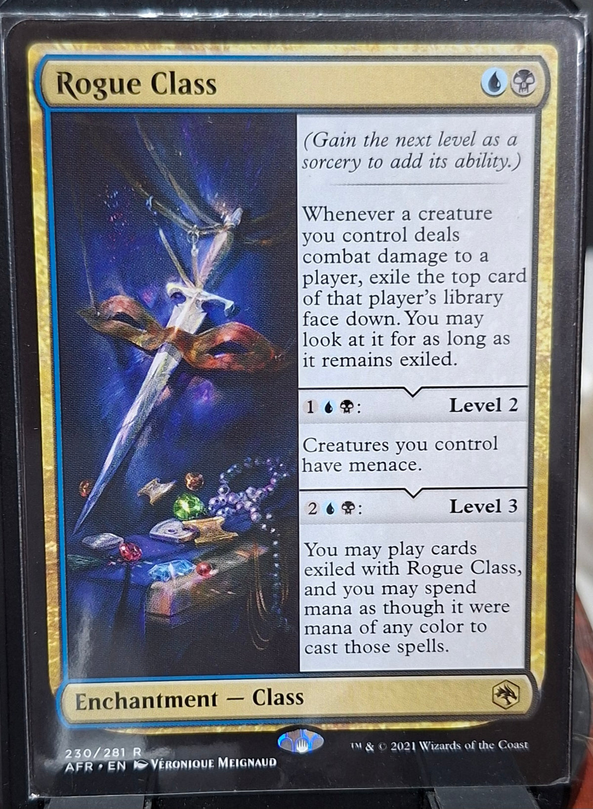 Rogue Class