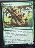 Scurry Oak