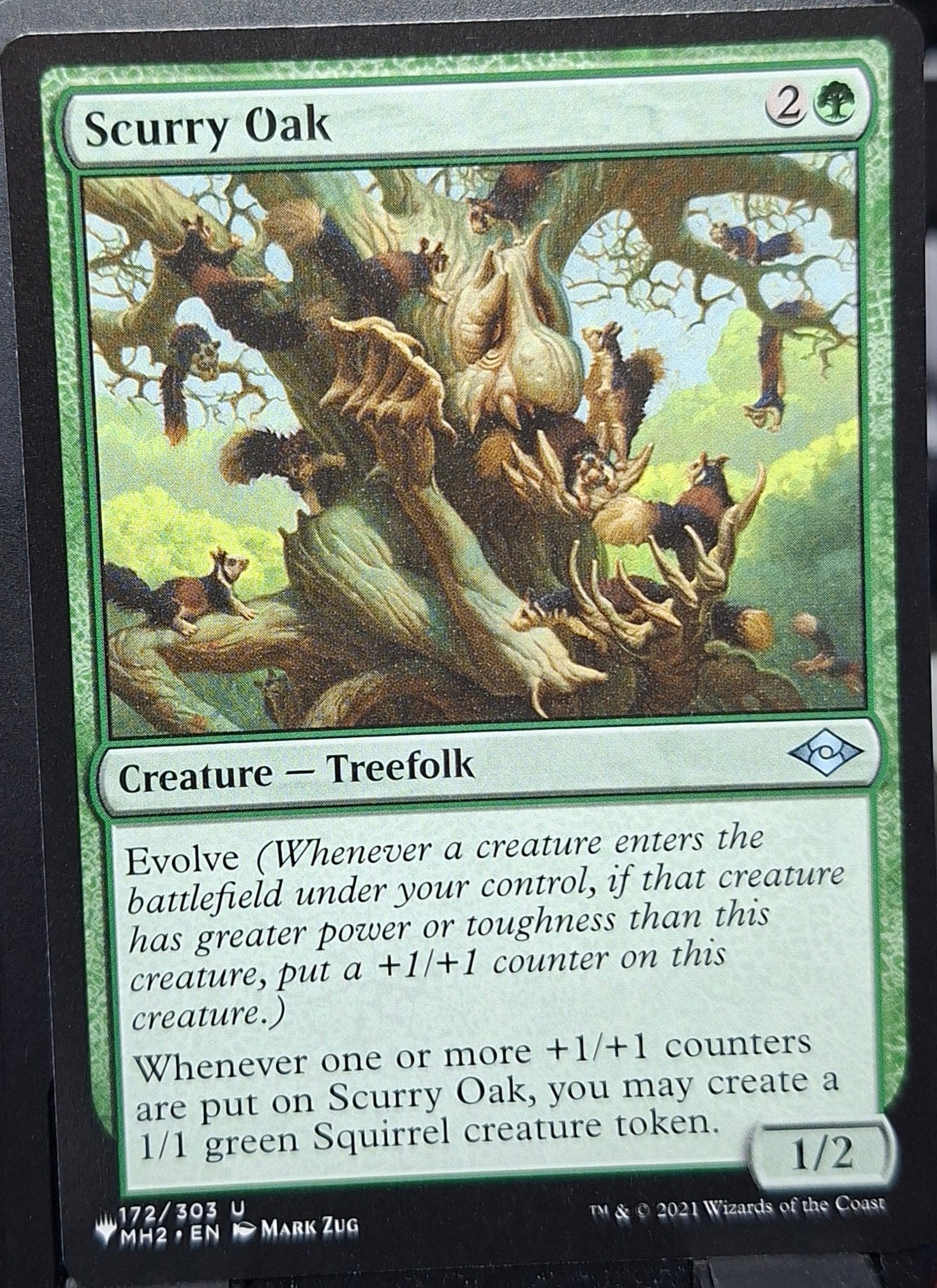 Scurry Oak