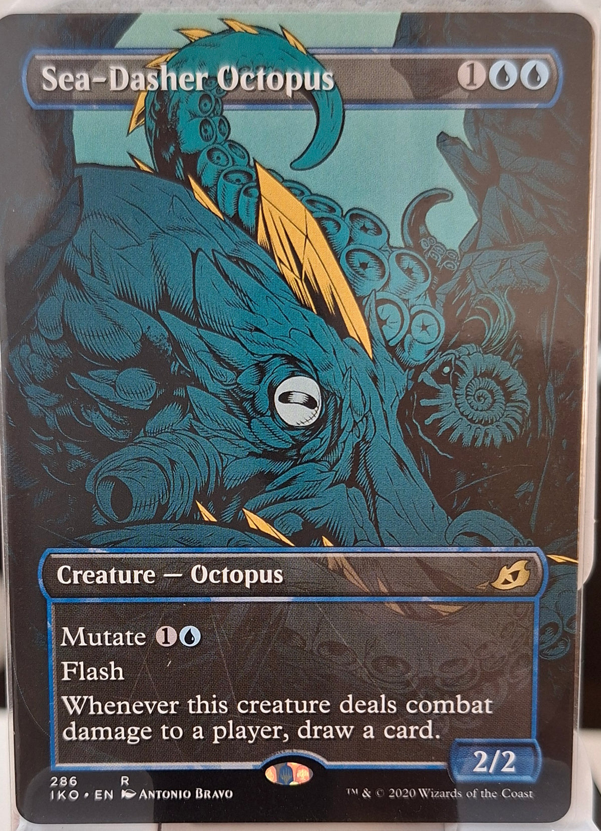 Sea-Dasher Octopus