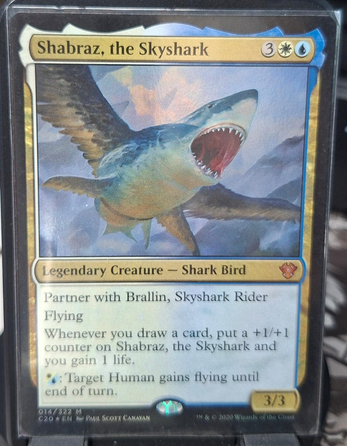 Shabraz, the Skyshark