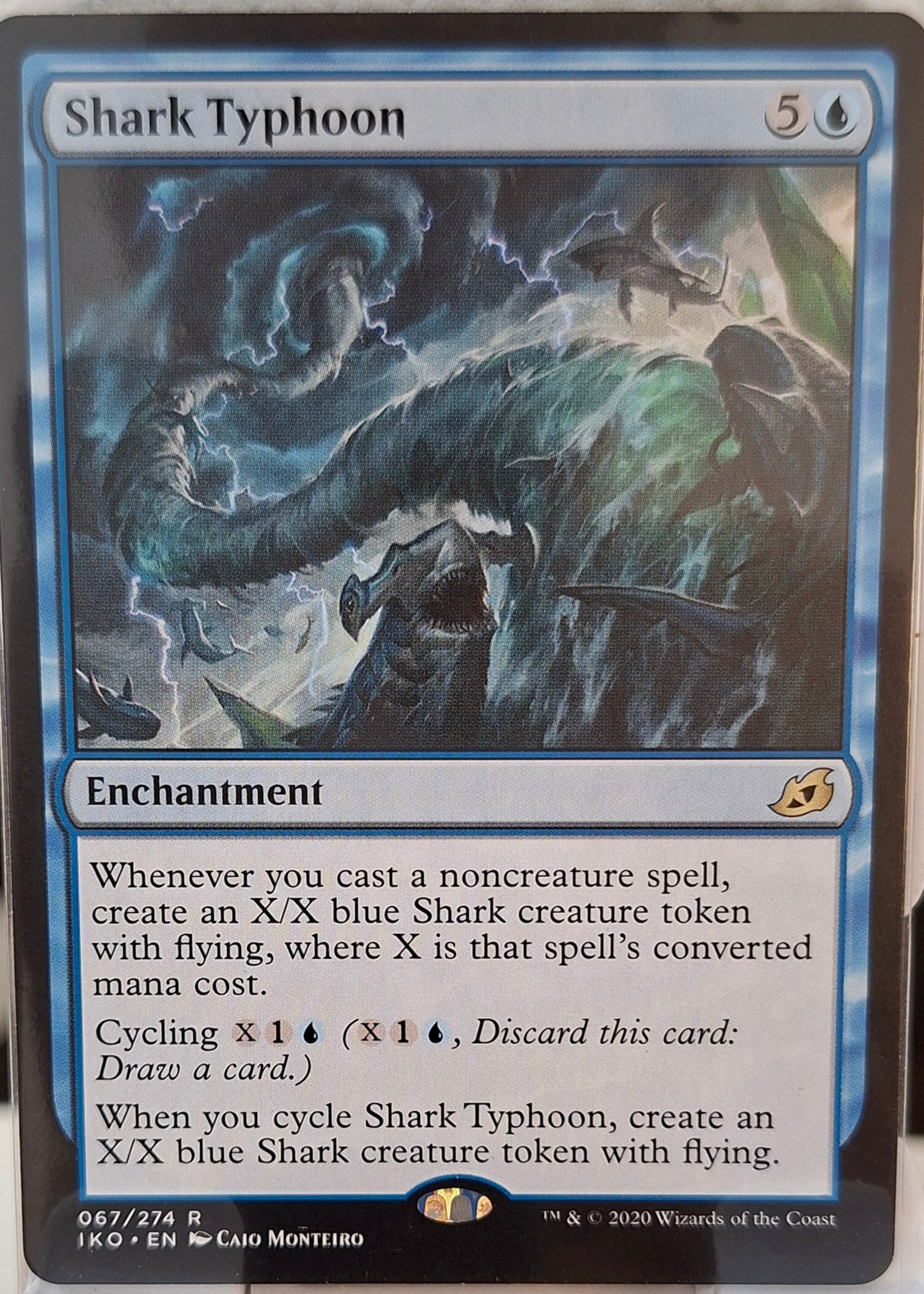 Shark Typhoon