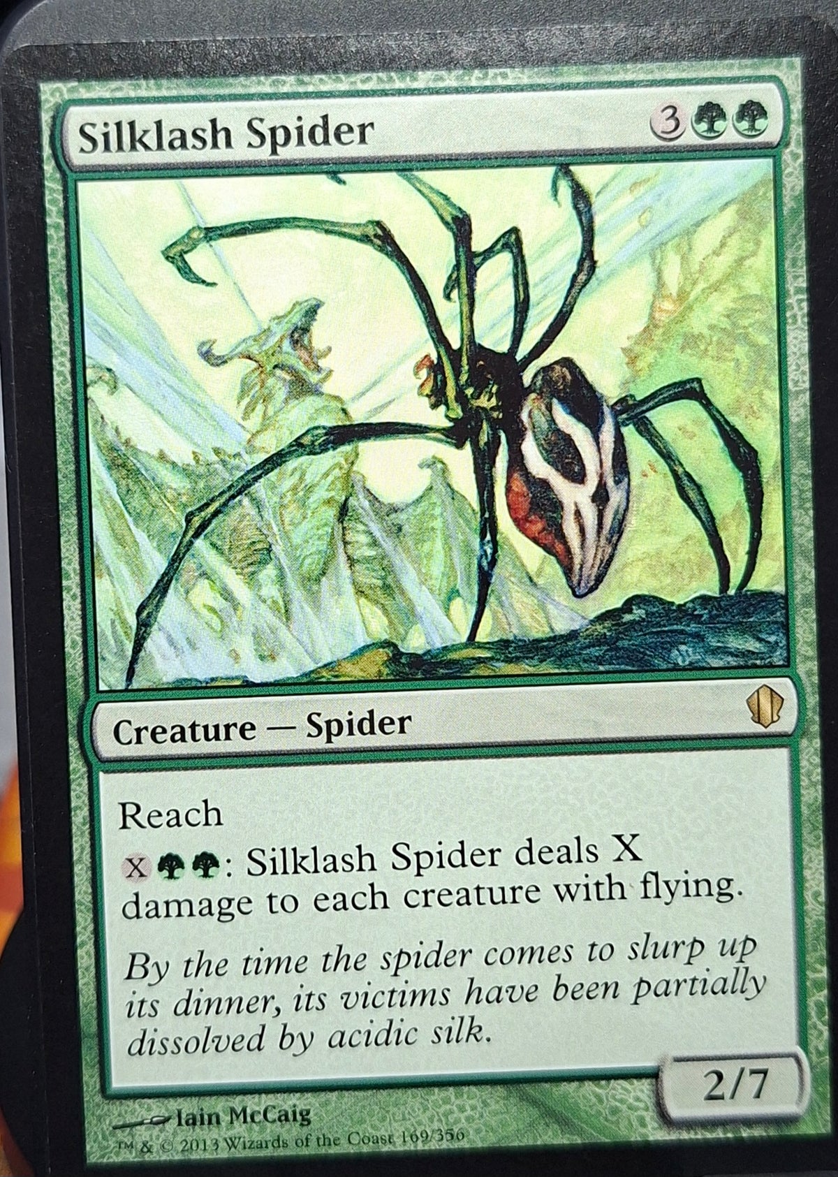 Silklash Spider