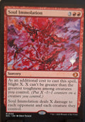 Soul Immolation