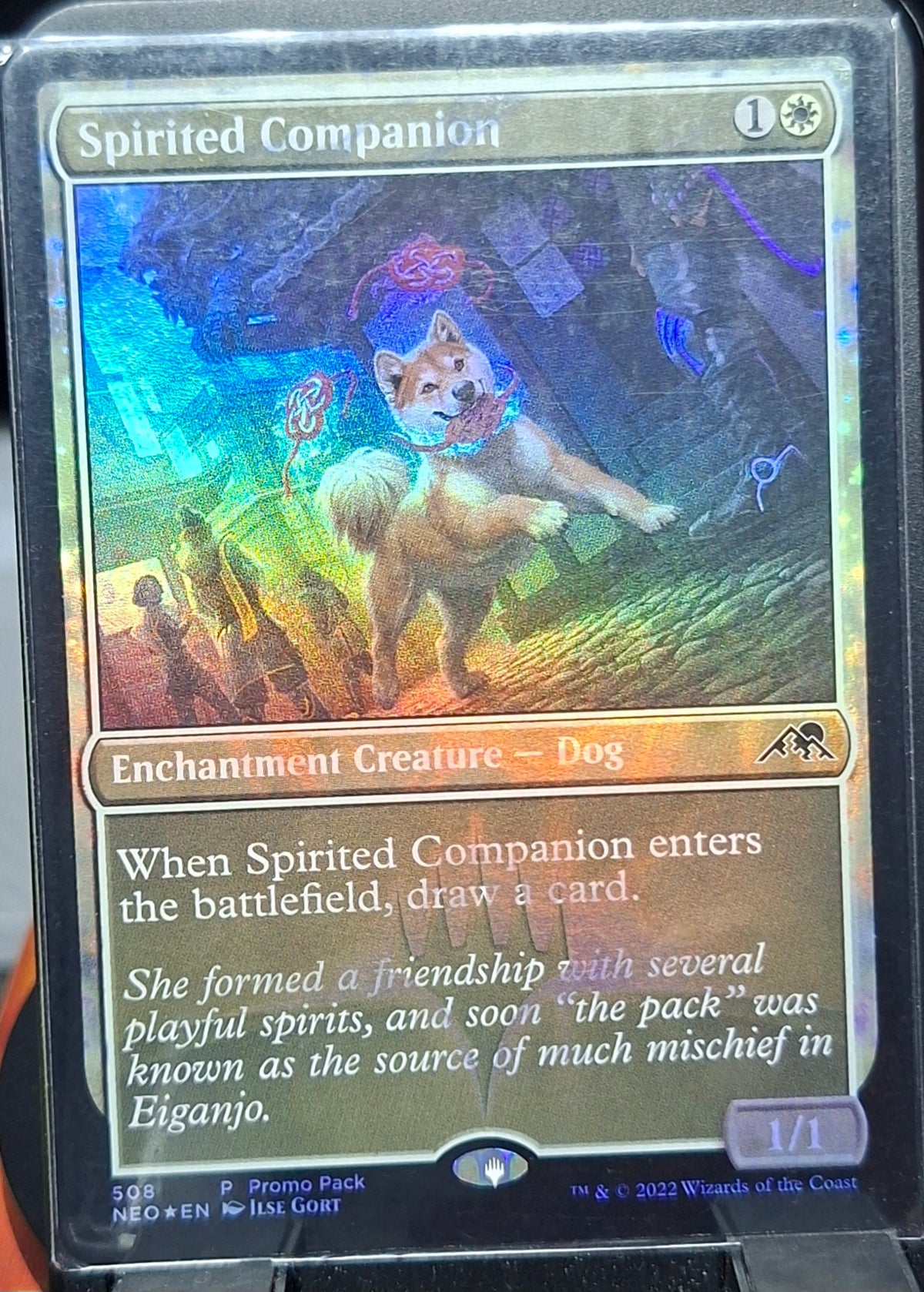 Spirited Companion