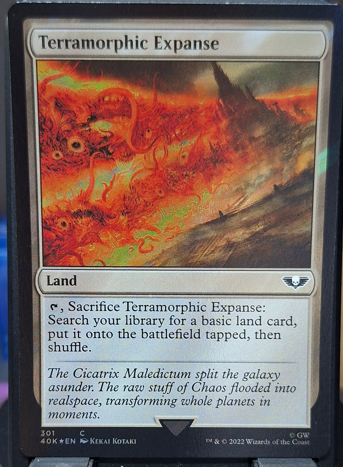 Terramorphic Expanse