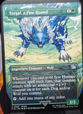 Torgal, A Fine Hound