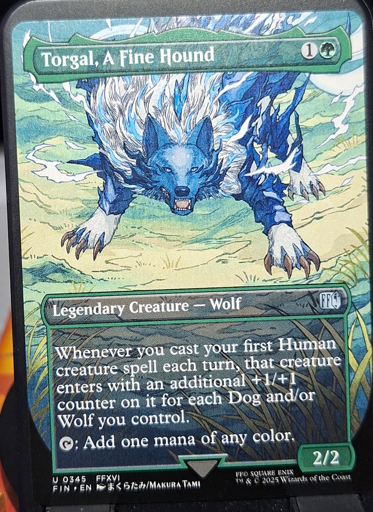 Torgal, A Fine Hound