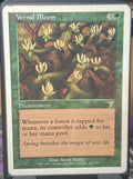 Vernal Bloom