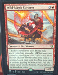 Wild-Magic Sorcerer